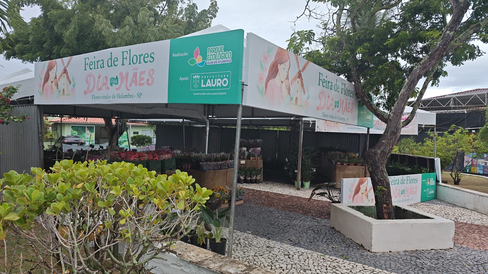 Feira de Flores reúne um público apaixonado por cores e aromas.